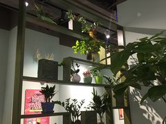 -仙踪林(江燕路万科里店)