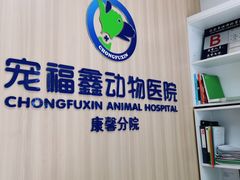 -宠福鑫康馨动物医院·骨科·眼科