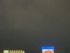 -海心沙亚运公园