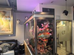 -雕哥的纹身店A3 TATTOO&纹身培训