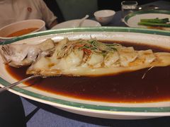 清蒸狮麟鳐鱼-金狮麟·新豫菜(金码大厦店)