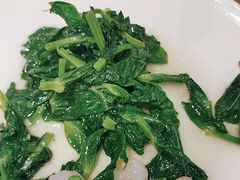 -新吉士·上海菜(浦东LCM置汇旭辉店)