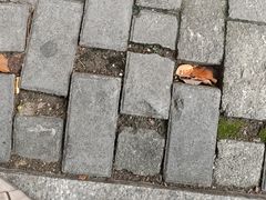 -好利来(木渎店)