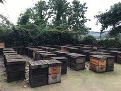 -阿哈湖国家湿地公园