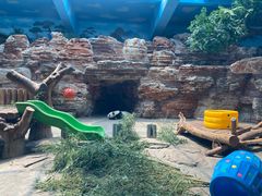 -石家庄市动物园