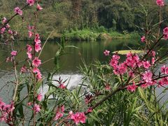 -重庆彩云湖湿地公园