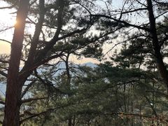 -金龙寺国家森林公园