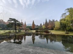 -习家池