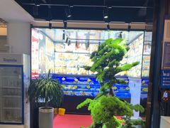 -星光小把串·海鲜烧烤(西安路店)