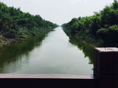 -黄海国家森林公园