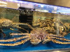 -盒马X会员店(上海森兰商都店)