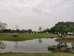 -夏河溪乡野公园