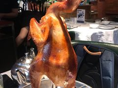 烧鸡-五稻厨房粤西菜(新闻店)