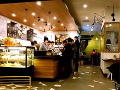 -油梨树 AVOCADO TREE(亮马桥店)