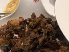 -海派美食·家宴海鲜青岛菜·石锅鲽鱼头(东方城店)