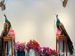 -傣庄园-正宗傣味餐厅·孔雀宴·手抓饭(告庄星光夜市店)