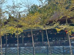 -中国科学院西双版纳热带植物园