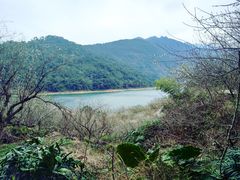 -广州市流溪河国家森林公园