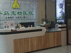 -半岛宠物医院24小时(西派城店)