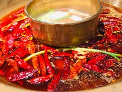 -Xiao Long Kan Hotpot Sydney 小龙坎老火锅