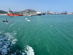 -海驴岛(荣成市)