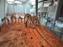 -重庆自然博物馆(新馆)