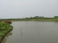 湖-上海海湾国家森林公园