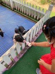 -萌宠亲子动物乐园(槐房万达店)