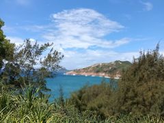-广东惠东海龟国家级自然保护区