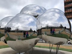 -金泽21世纪美术馆