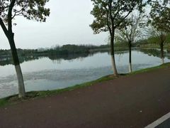 -艾溪湖湿地公园