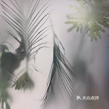 总之就是太太太喜欢了 仙女姐妹们冲！
