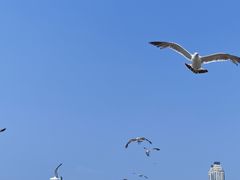 -星海广场