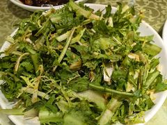 椒香拌苦菊-春江饭店(共青团路总店)