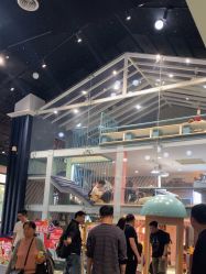 -奈尔宝·儿童乐园·亲子餐厅(星河湾店)