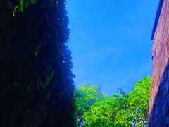 -乌镇景区
