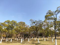 -白塘生态植物园
