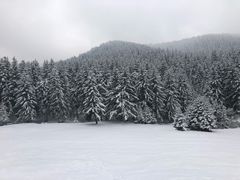 -鹞子沟国家森林公园