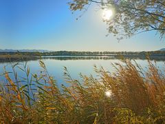 -野鸭湖国家湿地公园