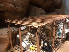 -成都泰迪熊博物馆