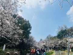-杭州少年儿童公园