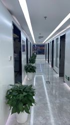 -悟空祛痘·诺奖技术专业店