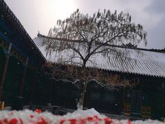 -张学良旧居陈列馆