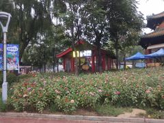 -欢乐水魔方水世界