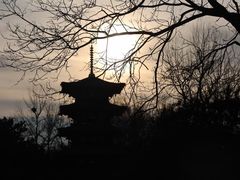 -北京世界公园