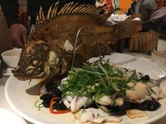 炸罗菲鱼-朱仔记食府(江南大道店)