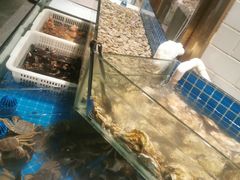 -星伦多自助料理(江阴万达店)
