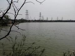 -大港湿地公园