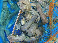 -湛江宇丰海鲜店(洛溪店)