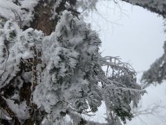 -瓦屋山景区